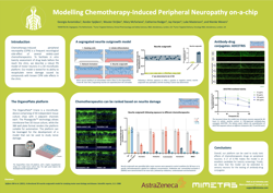 Poster Development of a 3D microphysiological placenta barrier in vitro model as a tool for drug transport studies