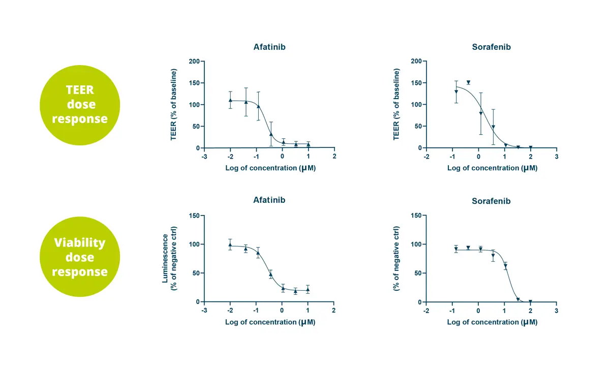 OrganoReady Colon Organoid for Gut toxicity screening