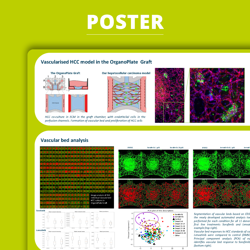 Poster Development of a 3D microphysiological placenta barrier in vitro model as a tool for drug transport studies